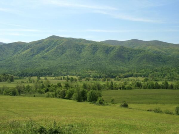 When Did Tennessee Become a State