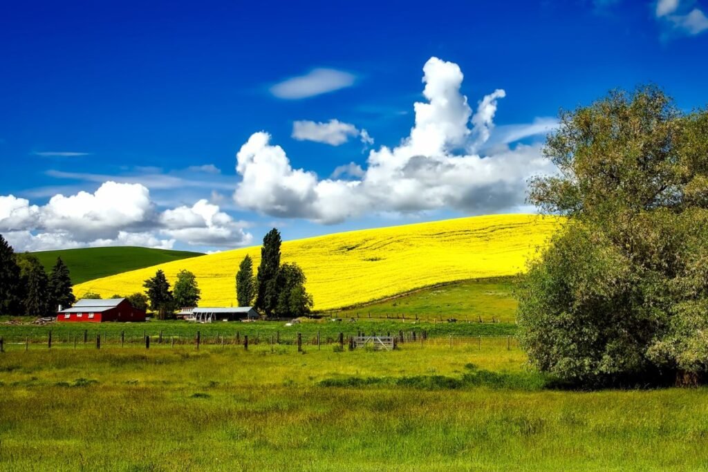 What Time is it in Idaho Falls