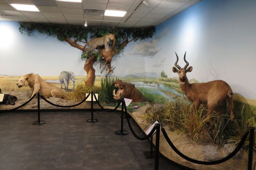 What to Do in Provo Utah