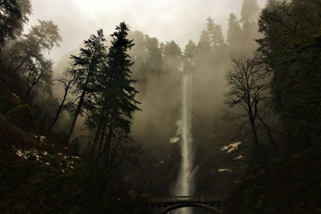 What is Oregon Famous For