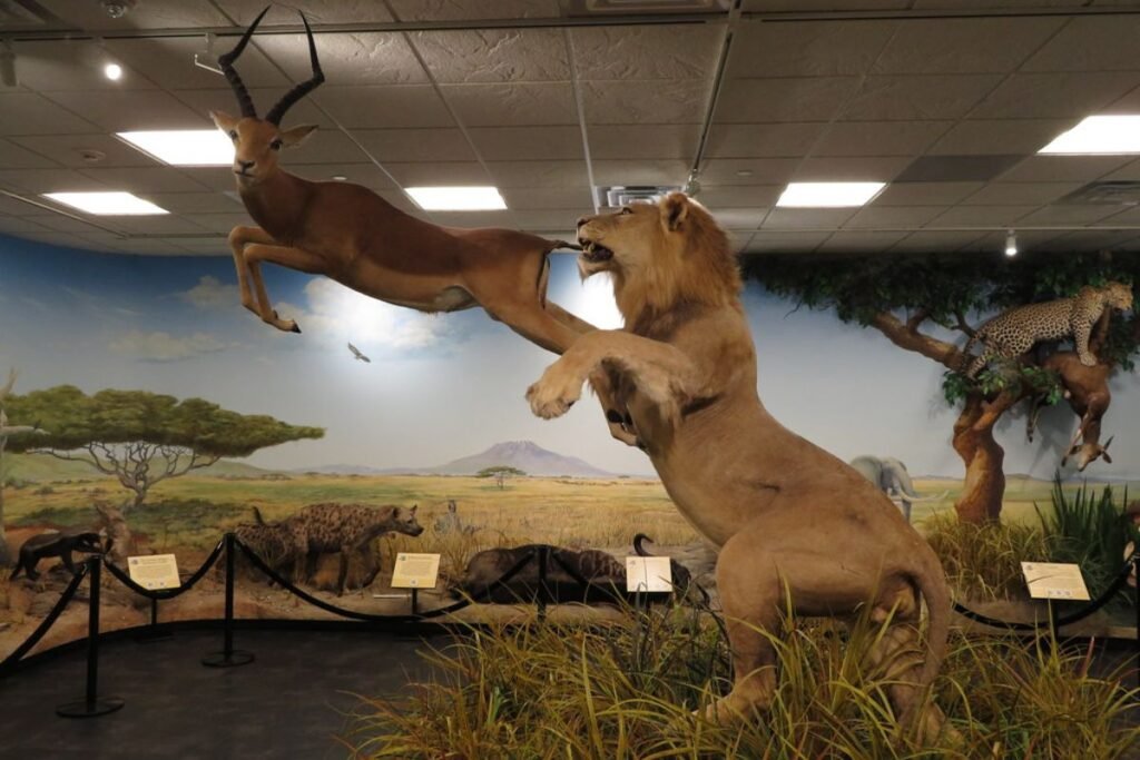 What to Do in Provo Utah