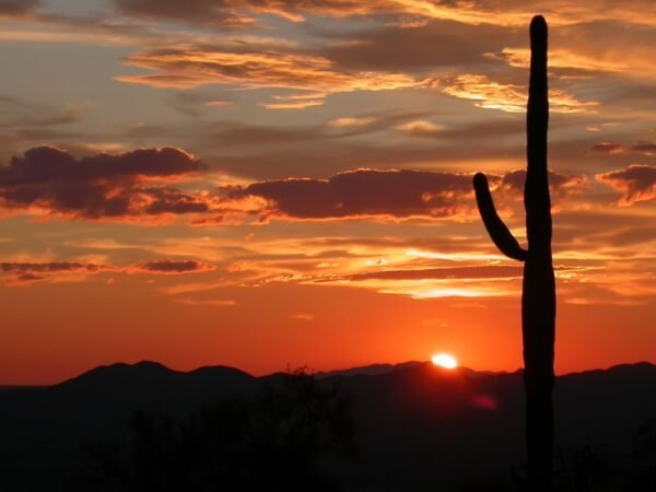 How Far is Arizona from Ohio? Driving Distance!