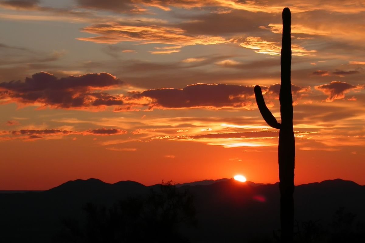 How Far is Arizona from Ohio? Driving Distance!