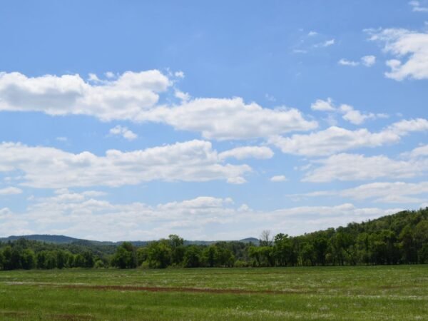 What is Arkansas's Nickname? Discover the Official Titles!