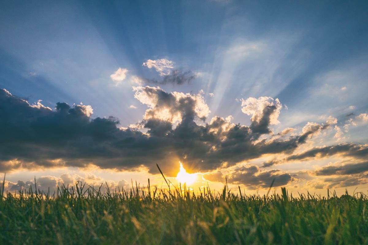 California: The Surprising History of the Sunshine State