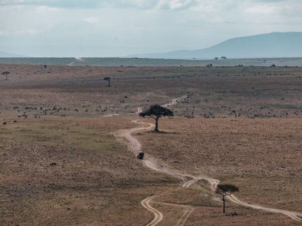 How Many Counties in West Virginia? Population, History & Map