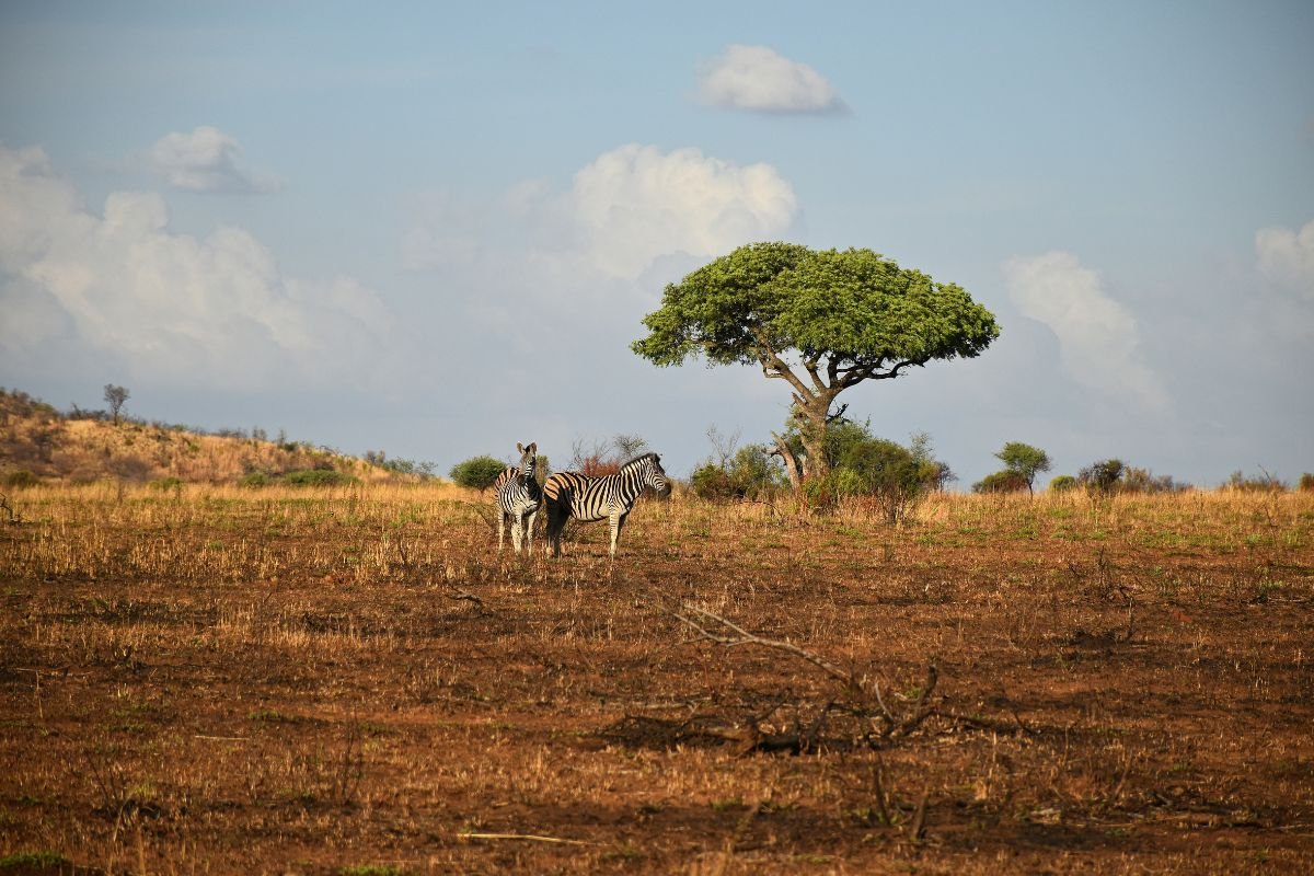 How Far Am I from Savannah Georgia? Find Out Now!