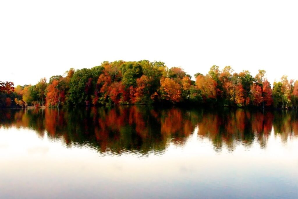 How Far is West Virginia from North Carolina