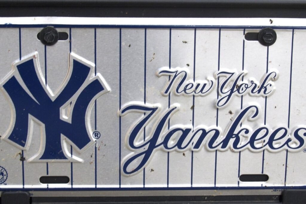 How Much Are License Plates in Illinois