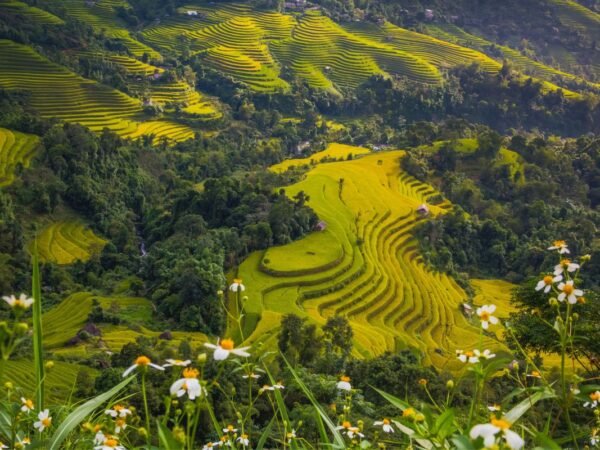 How Much is Land in Alaska? Affordable Land for Sale - 2461 Listings