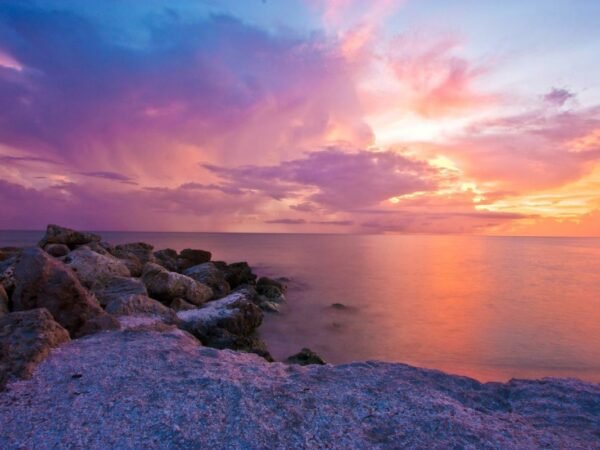 How Much is a Liquor License in Florida? A Complete Cost Guide