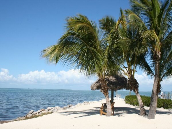 How to Get a Restraining Order in Florida: A Step-by-Step Guide