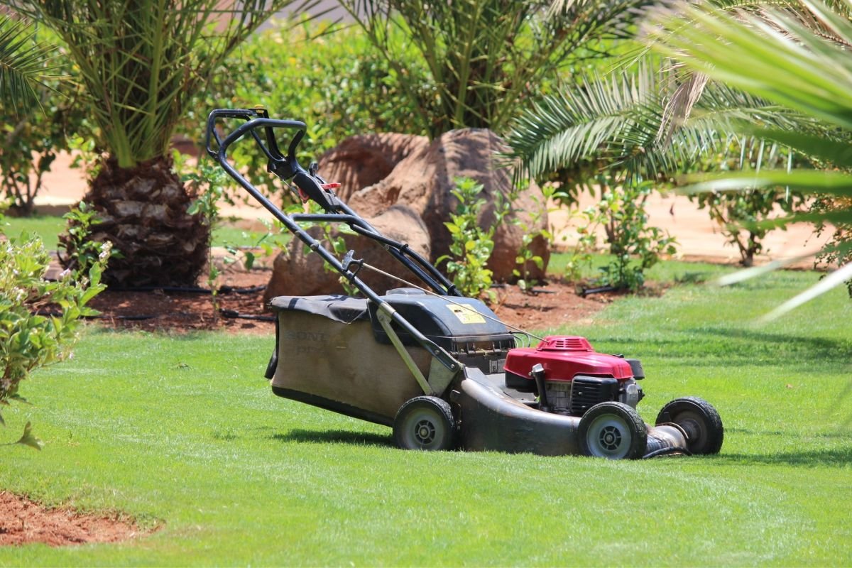 When to Aerate Lawn in Colorado: Expert Advice