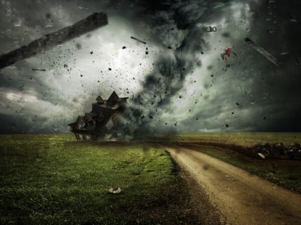 When is Tornado Season in Arkansas? Dog Safety Tips