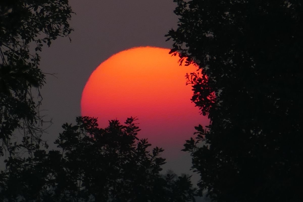 What Time Does It Get Dark in Arkansas? Little Rock Sunset Times