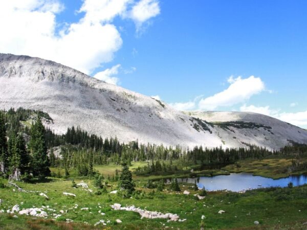 What Zone is Colorado in? USDA Hardiness Map