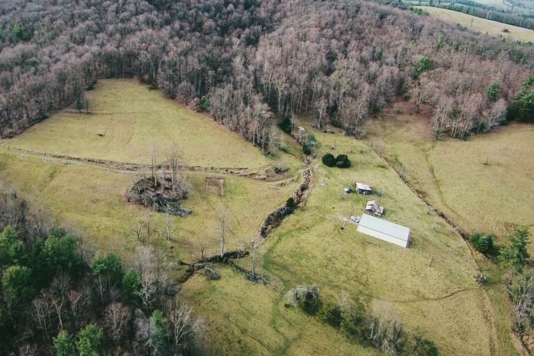 What is a Holler in West Virginia? Unveiling the Appalachian Language