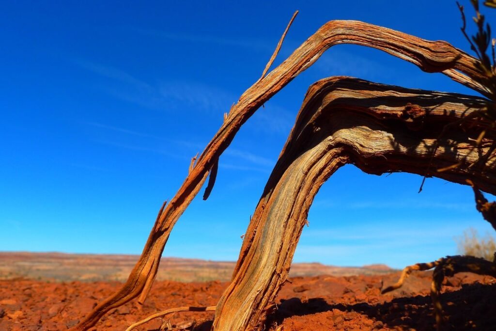 What is the Age of Consent in Utah