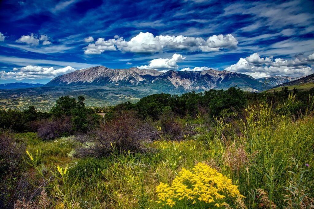 When Do the Leaves Change in Colorado