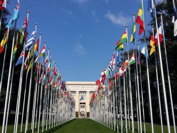 Why are Flags at Half Mast Today in Florida? Explained
