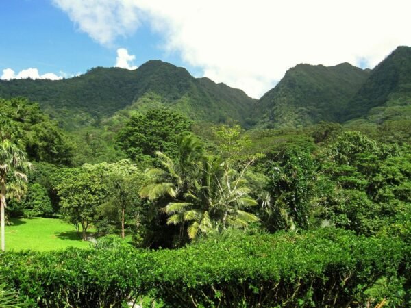 What to Do in Hilo, Hawaii - Ultimate Guide: 27 Amazing Things!