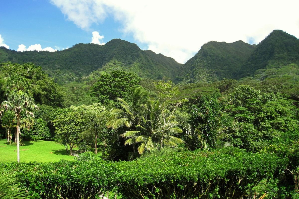 What to Do in Hilo, Hawaii - Ultimate Guide: 27 Amazing Things!