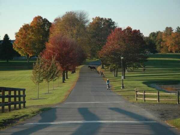 How Far is Massachusetts from Maryland? Driving Distance