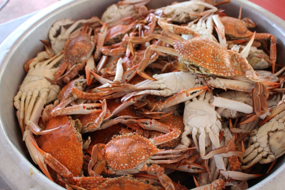 How Much is a Bushel of Crabs in Maryland? Find Fresh Jumbo Crabs Now!