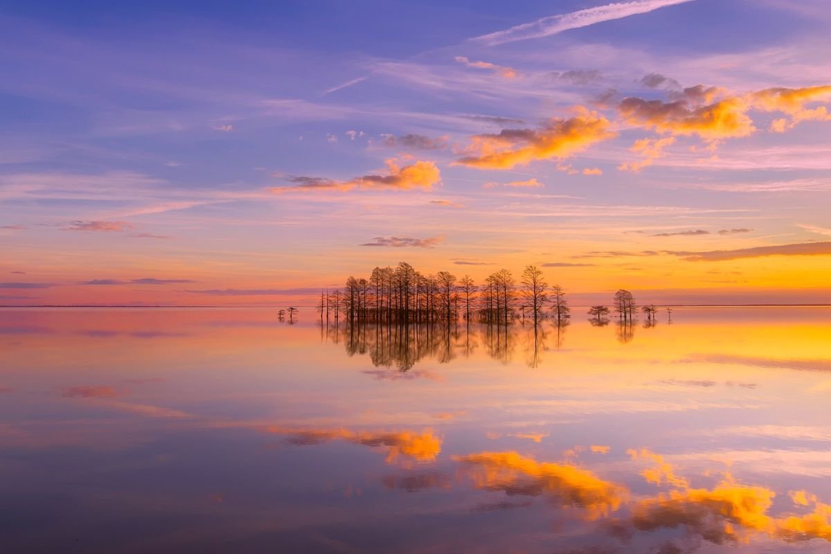 How Many Square Miles is North Dakota? Size & More!