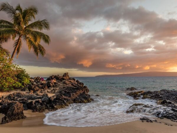 How Wide is New Jersey? East to West Distance Unveiled!