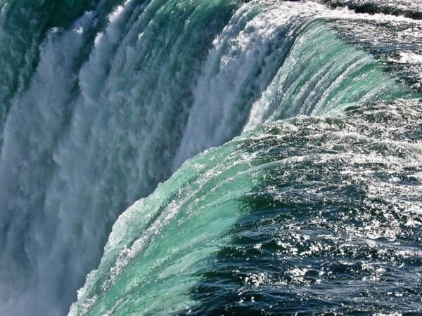 What County is Great Falls Montana in? Demographics & More!