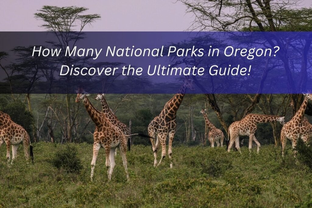 How Many National Parks in Oregon? Discover the Ultimate Guide!