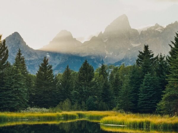 What Time is it in Grand Island Nebraska? Current Local Time & Time Zone