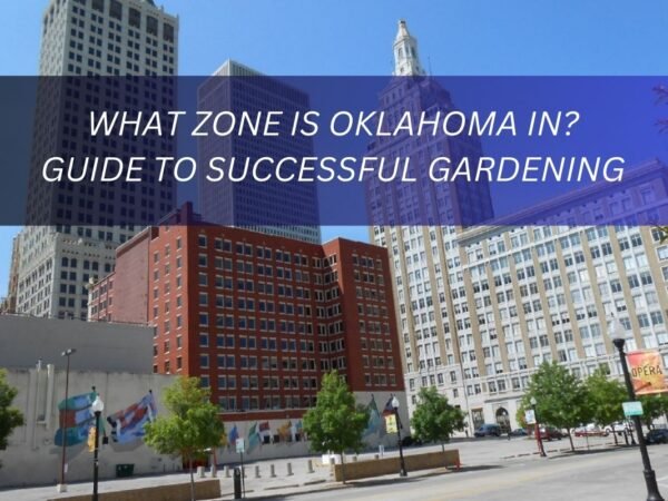 What Zone is Oklahoma in? Guide to Successful Gardening