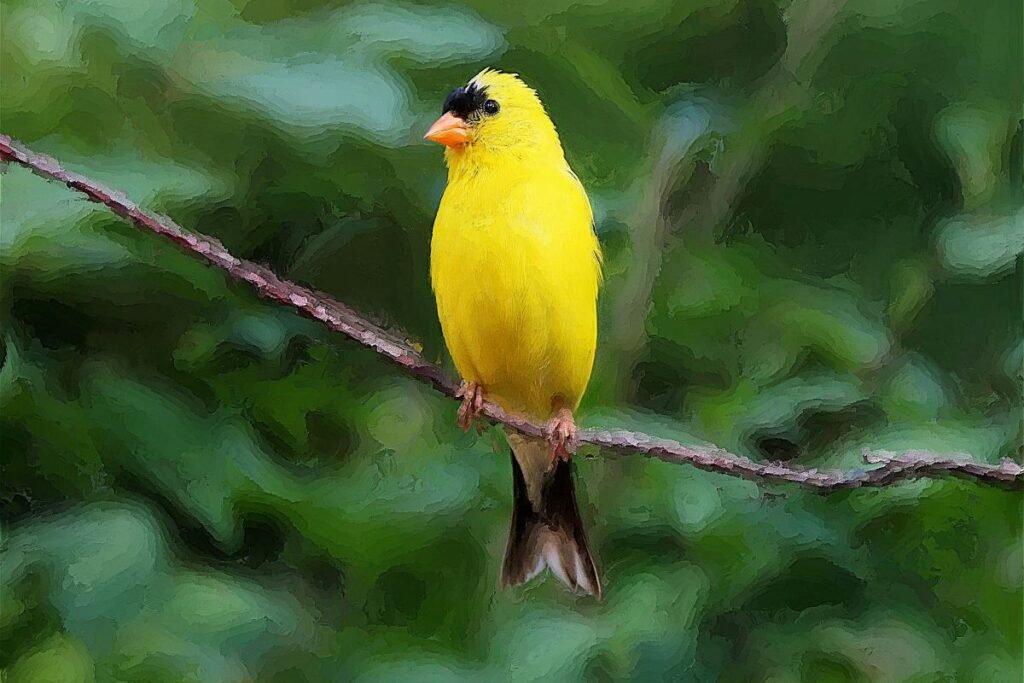 What is the State Bird of New Jersey