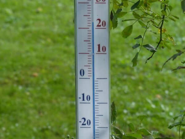 What's the Temp in Great Falls Montana? Weather Forecast