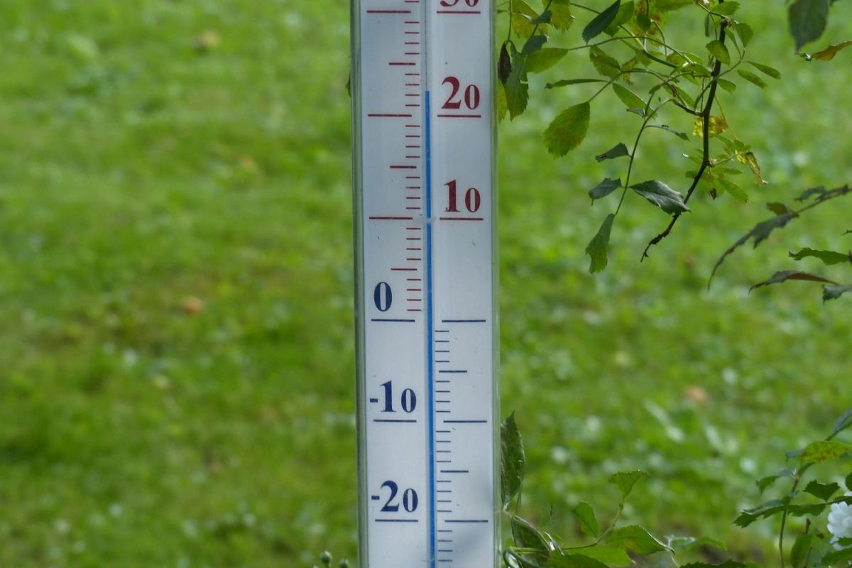 What's the Temp in Great Falls Montana? Weather Forecast