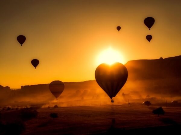 When is the Missouri State Fair 2023? Dates, Tickets and more!