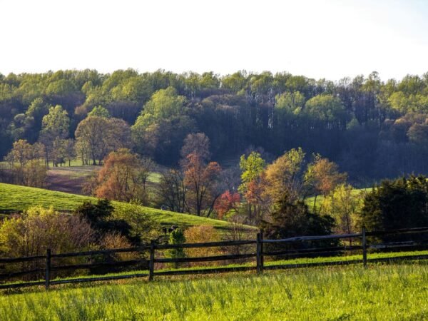 How Far is Maryland from Virginia: Distance, Travel Options & Driving