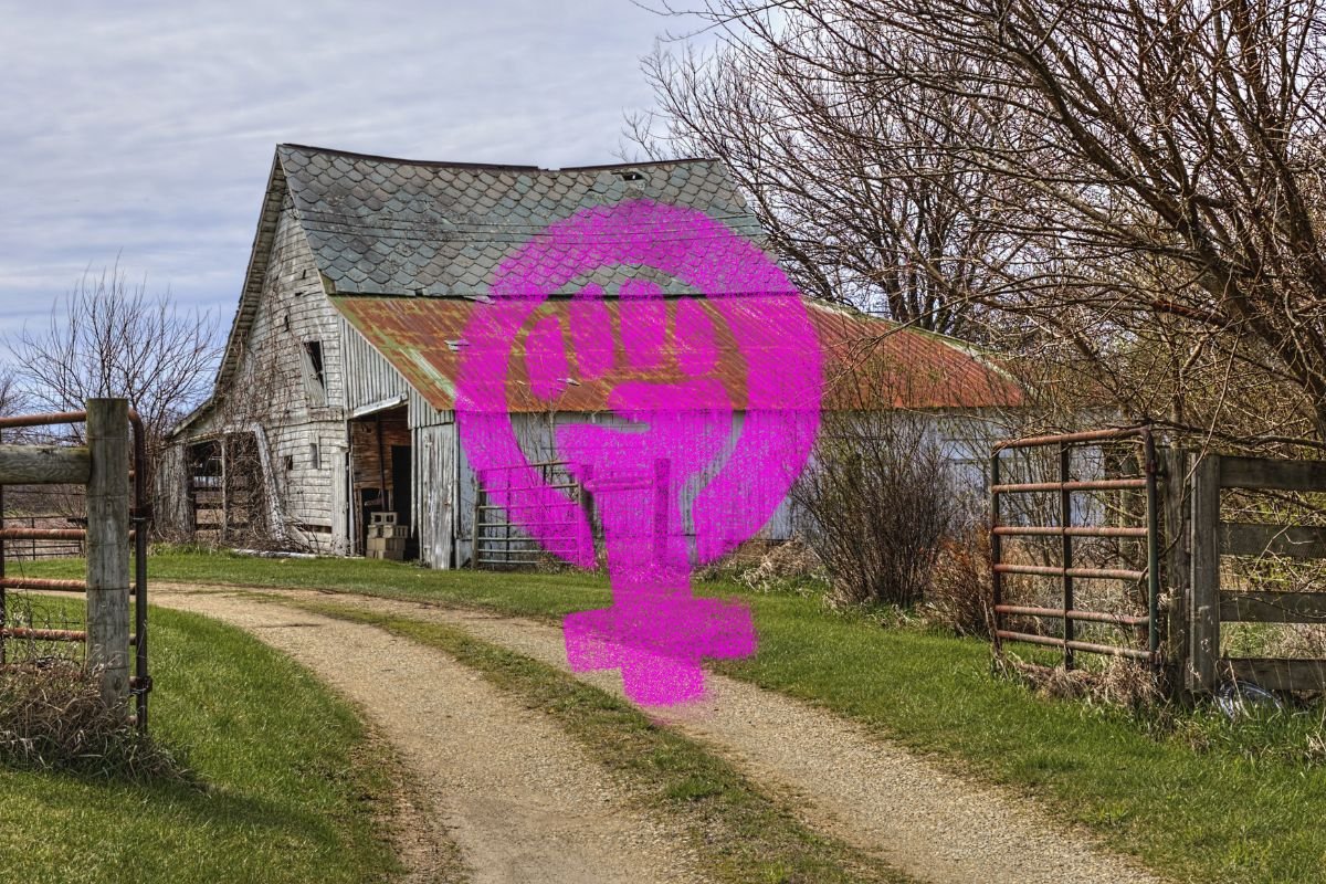 How Much Are Abortions in Ohio? Pill, Facts & Cost