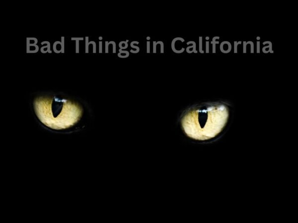 Bad Things in California: 10 Dark Reasons to Reconsider