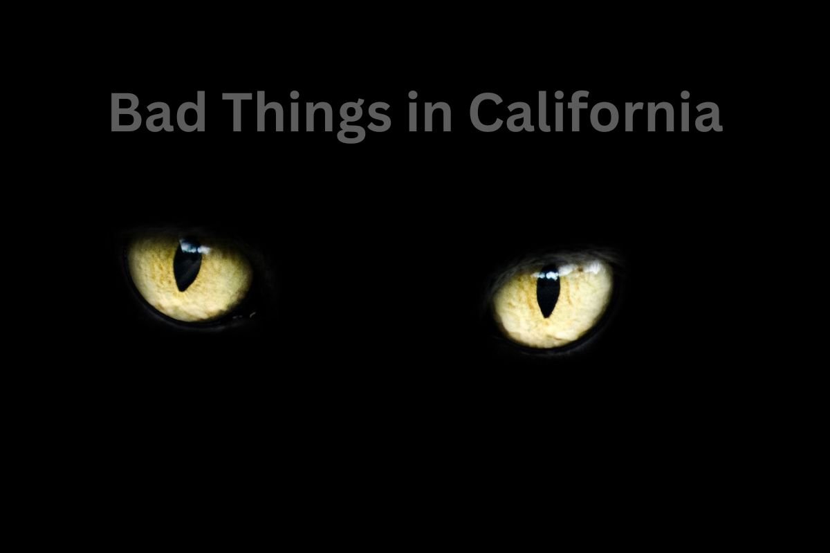 Bad Things in California: 10 Dark Reasons to Reconsider