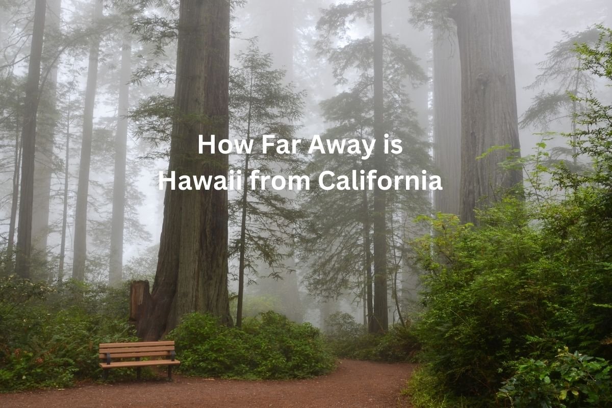 How Far Away is Hawaii from California? Distance: Airline, Driving, Midpoint