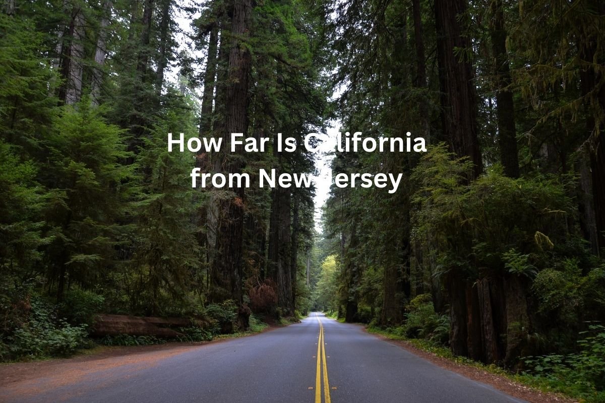 How Far Is California from New Jersey: Driving Distance
