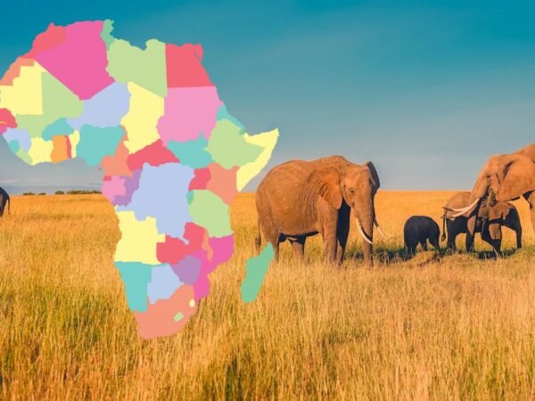 How Many Countries in Africa?