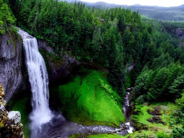 How Many Waterfalls in Oregon? Ultimate Guide to Discovering Stunning Falls