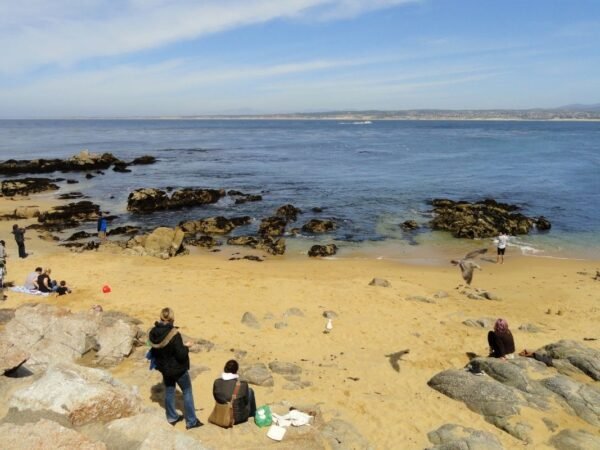 How to Evict a Roommate in California: Legal Steps