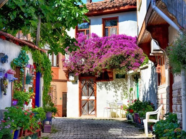 What is California Scholarship Federation? Explained!