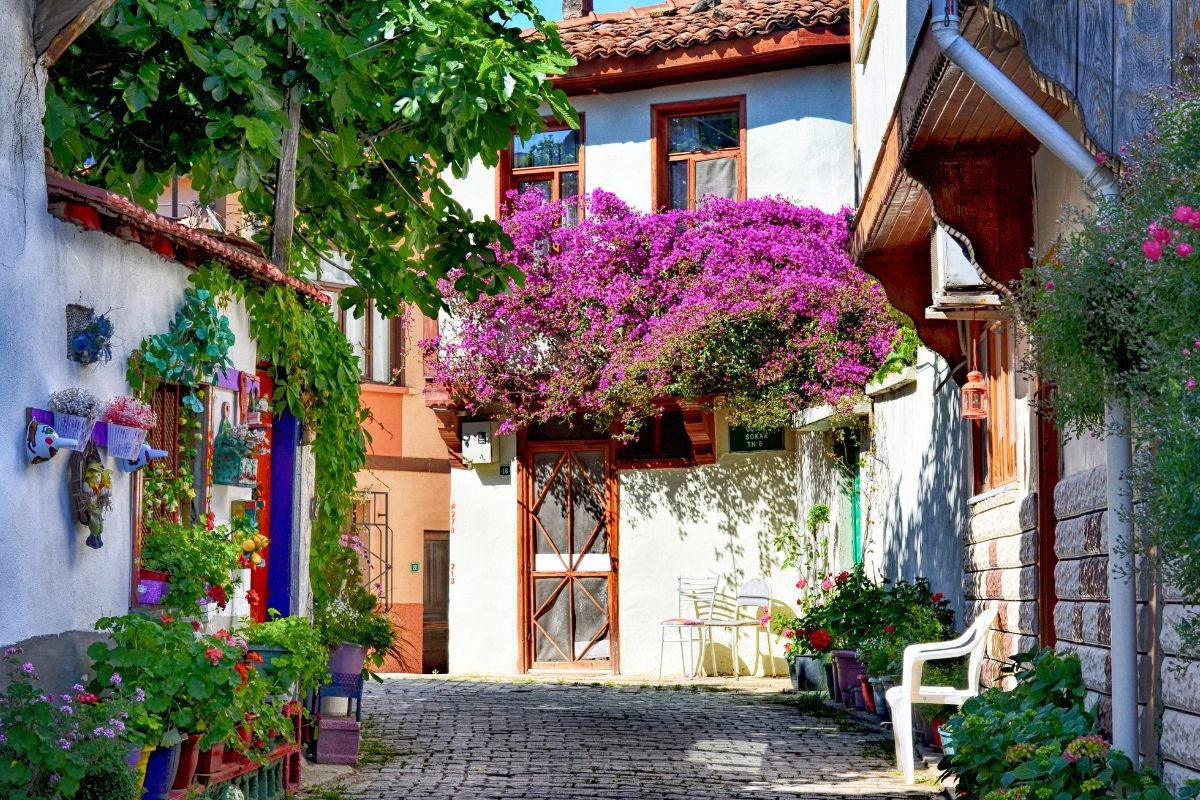 What is California Scholarship Federation? Explained!