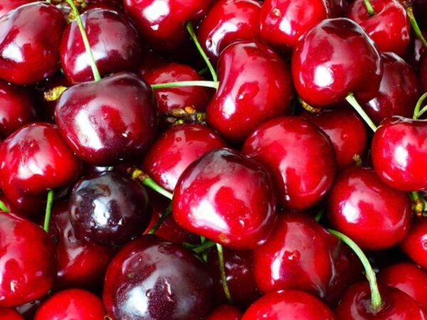 When is Cherry Season in California? Dates, Festivals & Harvest Calendar